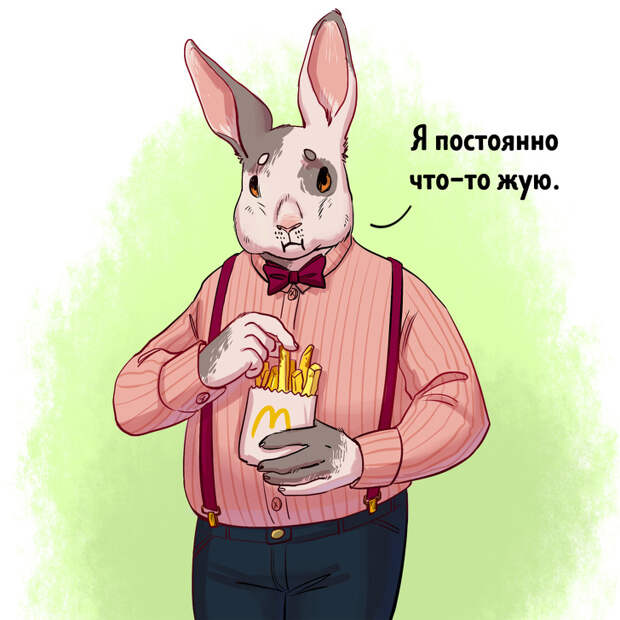 12 примеров, которые показывают, что у нас с животными слишком много общего