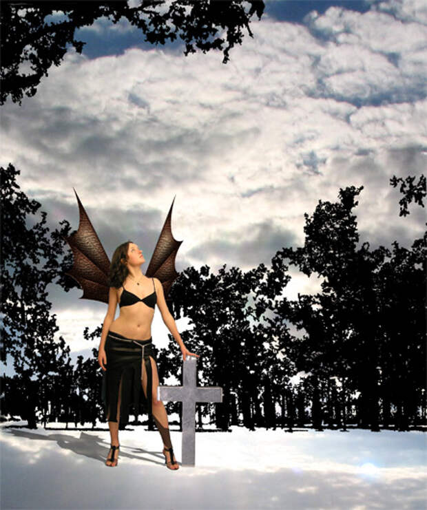 Piccy.info - Free Image Hosting