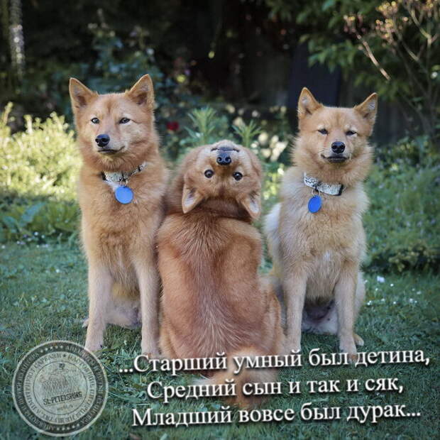 Младший