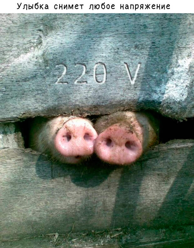 Улыбнись! Улыбнись!