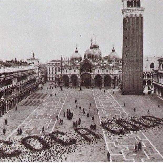 Реклама Coca Cola, созданная с помощью голубей. Венеция, конец 1960-х гг. история, факты, фотографии