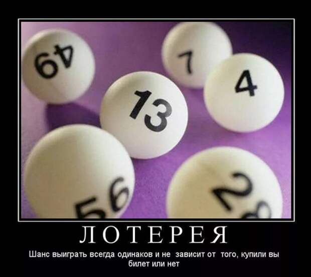 смешные картинки (8)