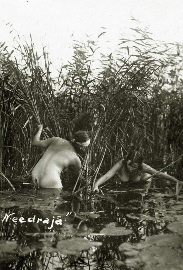 Девушки на сборе камыша, Латвия 1920-е гг. история, ретро, фото