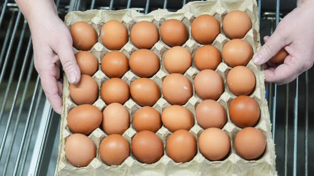 В ФАС указали на работу рыночных механизмов при формировании цен на яйца