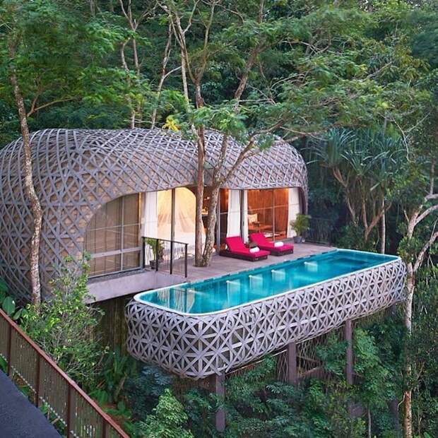 Дом с бассейном на дереве в Таиланде, Юго-Восточная Азия.