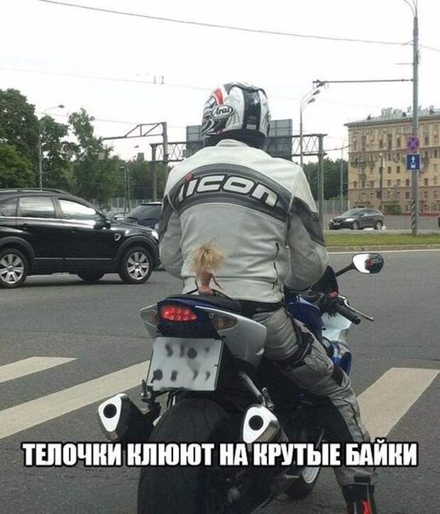 Смешные картинки с надписями Смешные картинки с надписями демотиваторы, прикол, юмор