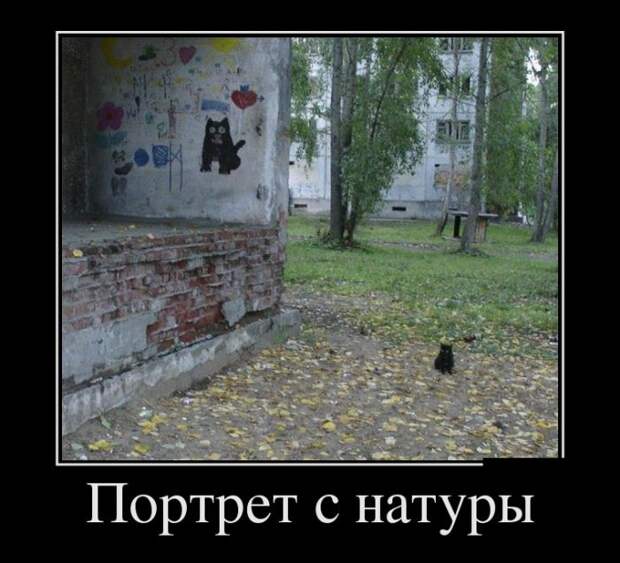Демотиваторы (30 фото)