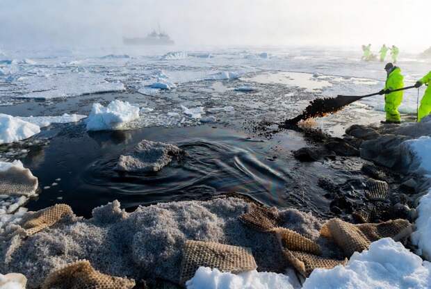 Ученые ТГУ и СГТУ создали сорбенты для впитывания нефти при низких температурах