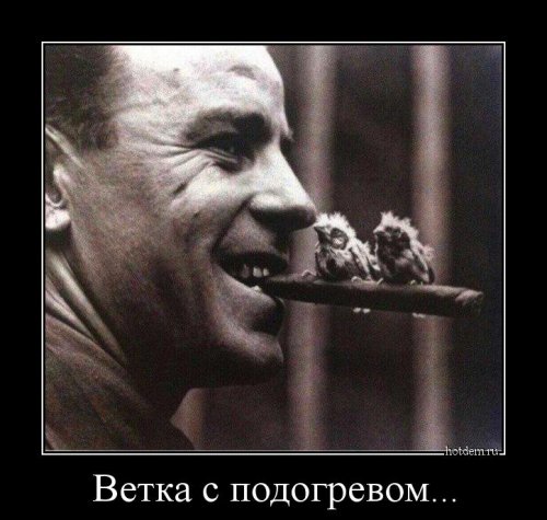 Новые демотиваторы (18 шт)