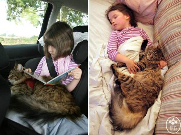 Задушевная дружба 5-летней девочки, страдающей аутизмом, и её терапевтической кошки (23 фото)