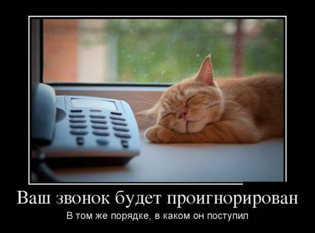 Веселые демотиваторы на субботу (11 фото)