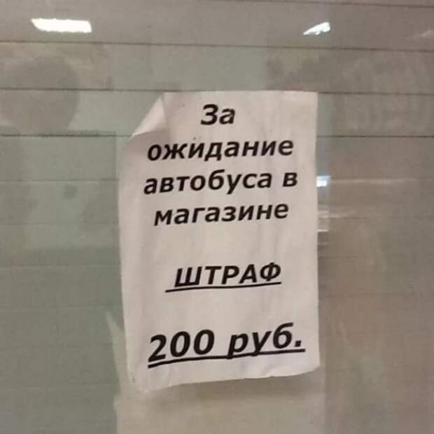 Смешные и необычные вывески