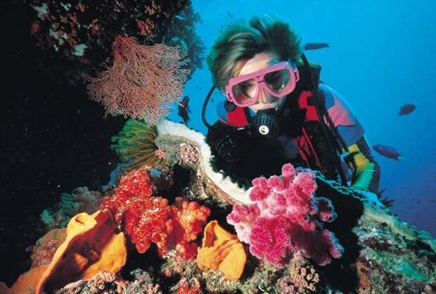 4. Дайвинг на коралловых рифах Поездки, путешествие, сафари, туризм