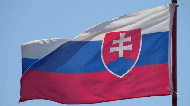 Глава МВД Словакии: страна стоит на пороге гражданской войны