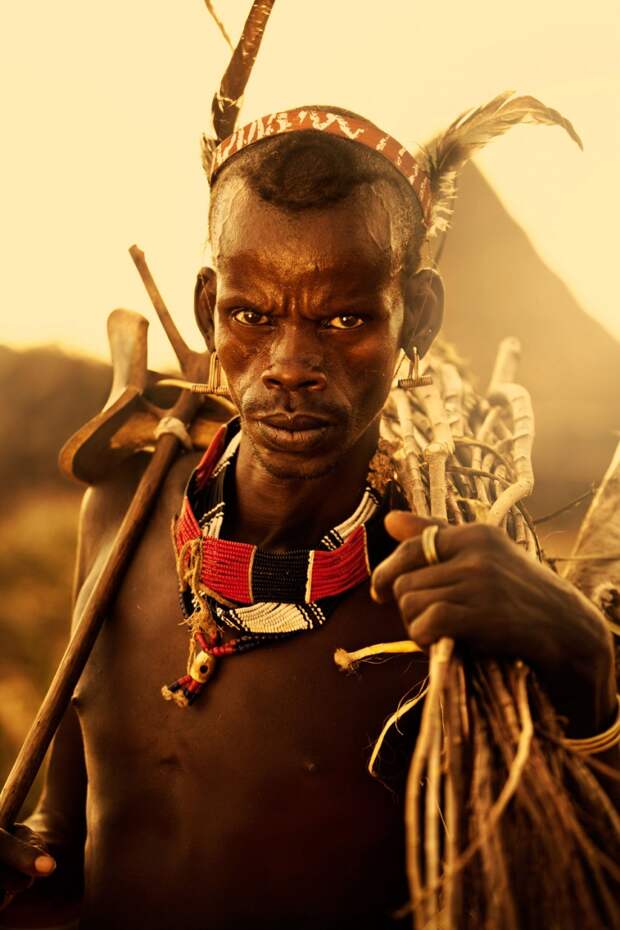 Человек собирает палки для укрепления загона для домашнего скота, Эфиопия