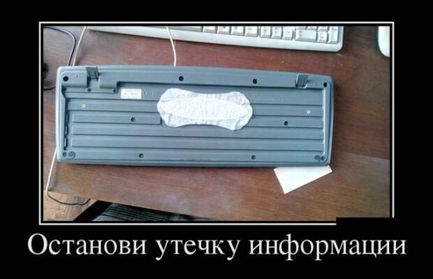 Демотиваторы (30 фото)