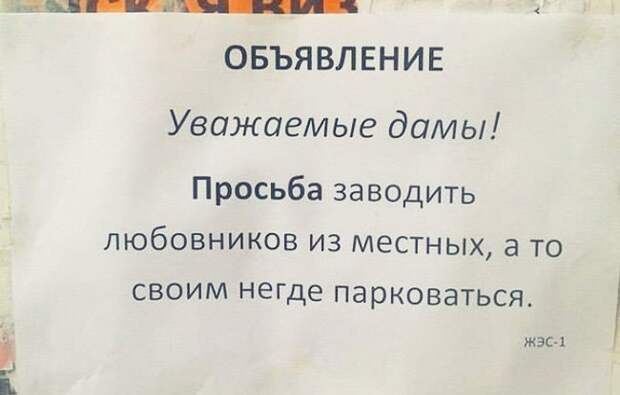 Самые шедевральные объявления из подъездов