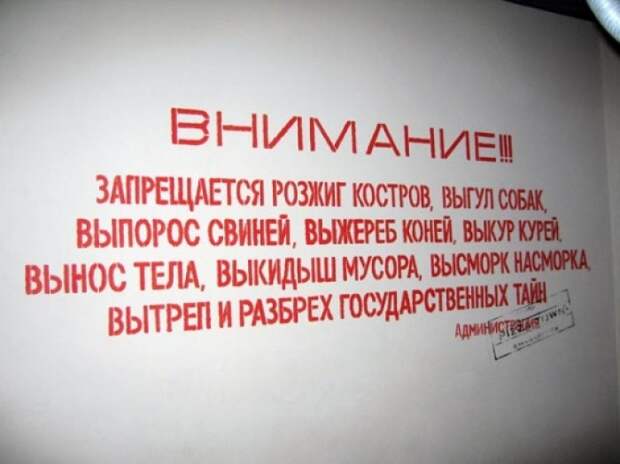 Забавные надписи и объявления Забавные надписи и объявления