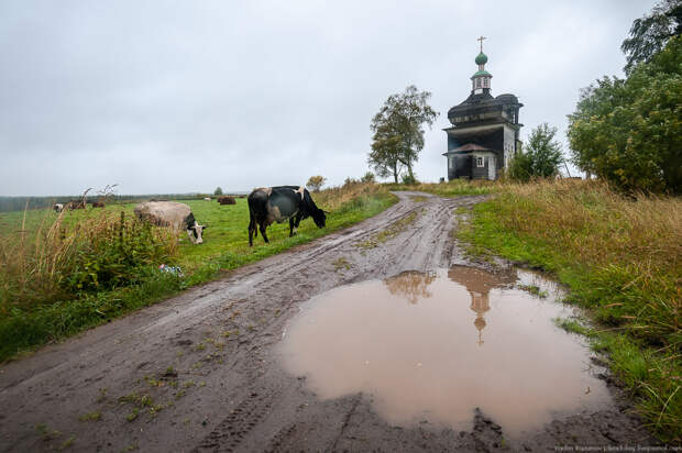 Деревянный север, Архангельская область, Онега