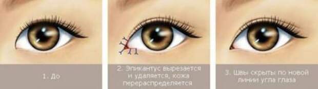 Девушки азиатской внешности арты. Азиатская внешность: описание + Фото девушки и мужчины- Обзор +Видео