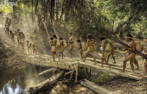 Семьи направляются в лес Амазония, бразилия, жизнь, племя, уязвимость, фото, фотомир