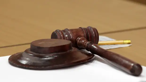 Суд в Нижегородской области приговорил убившую своих детей женщину к 19 годам заключения