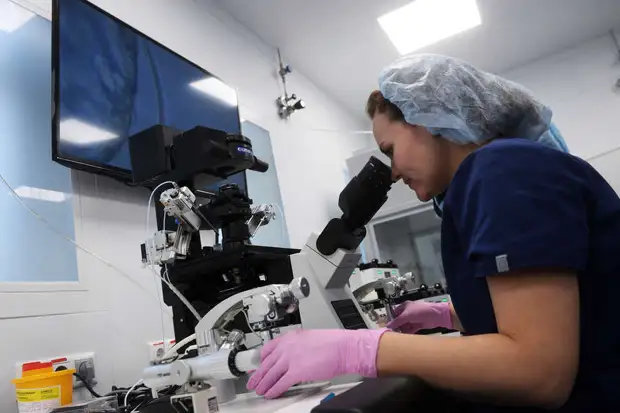 «65 тысяч за процедуру». Как работает рынок яйцеклеток