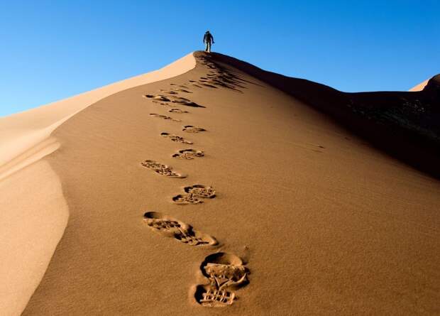 Национальный парк Берег скелетов в Намибии (Skeleton Coast Park)