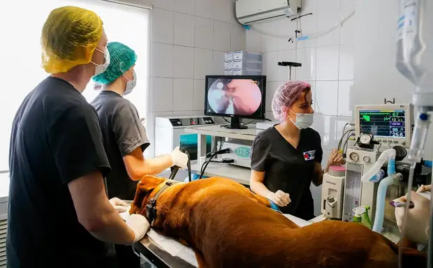 Уроки о пользе санкций и высылка дипломатов. Главное о спецоперации и ее последствиях к 5 апреля