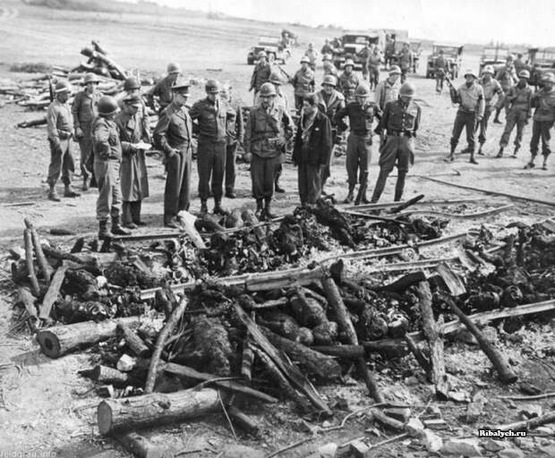 Осколки истории : 51 Интересных и редких ретро-фотографий