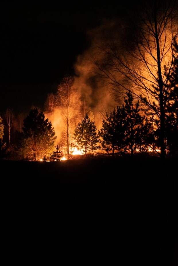 Лесные пожары в Якутии будет тушить самолет-зондировщик Як-42