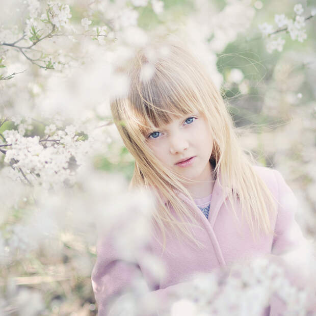 Excellent Micro Photography