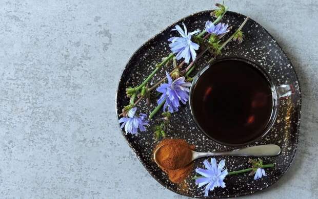 5-Reasons-Chicory-Root-Is-More-Than-a-Trend