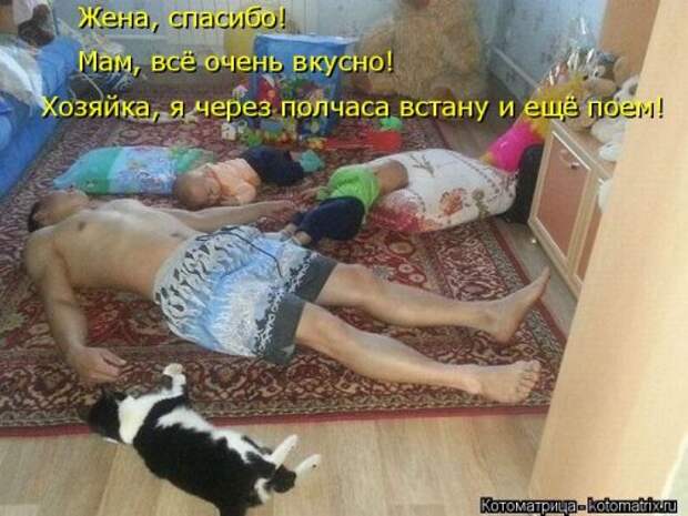 Новые котоматрицы для настроения (32 шт)