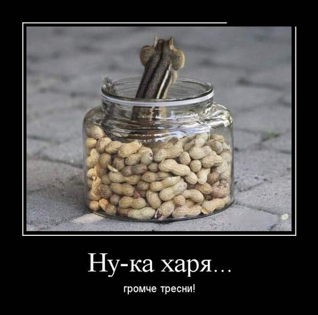 Демотиваторы (30 фото)