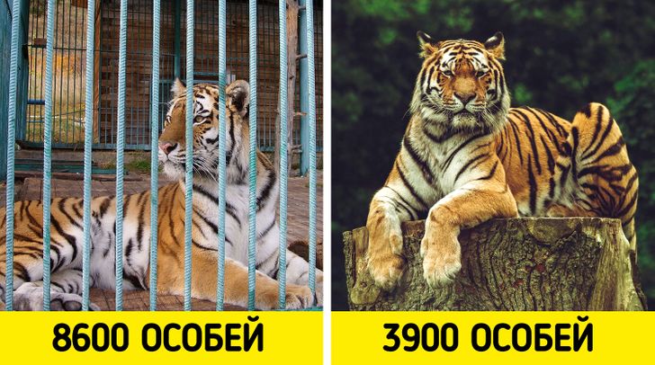 Ещё 10 фактов на разные темы, которые не умещаются в привычную картину мира