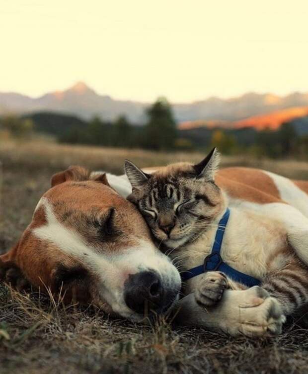 Фотоподборка