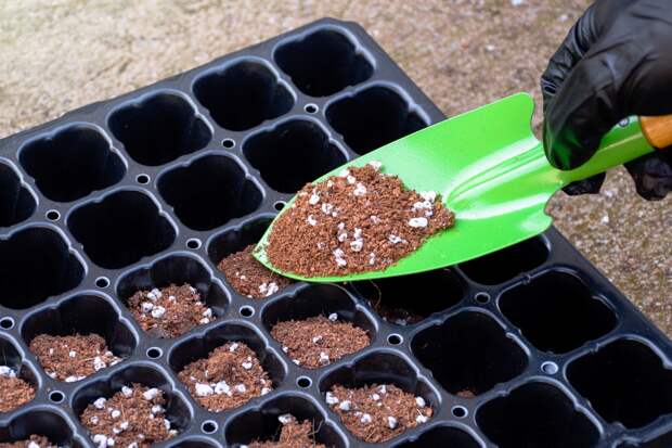 Лучшие удобрения для рассады: топ-15 подкормок для огурцов, помидоров и цветов