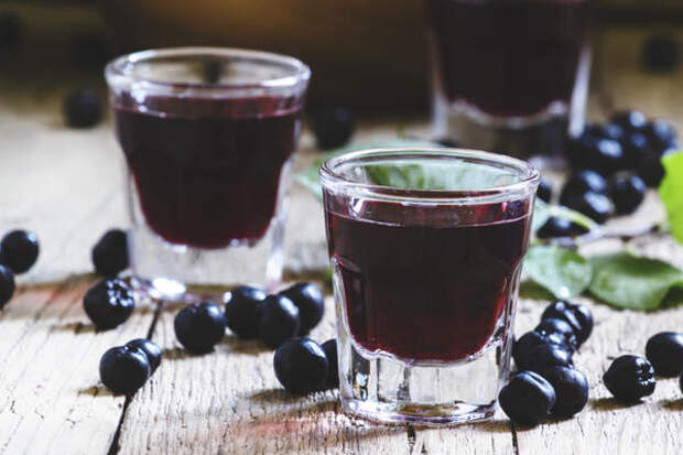 Черноплодная рябина - отличное сырье для домашнего виноделия