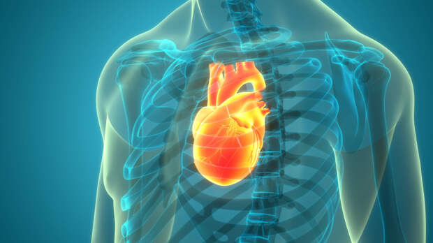 Долго икаешь или болит челюсть? Вызывай скорую! Нетипичные симптомы инфаркта