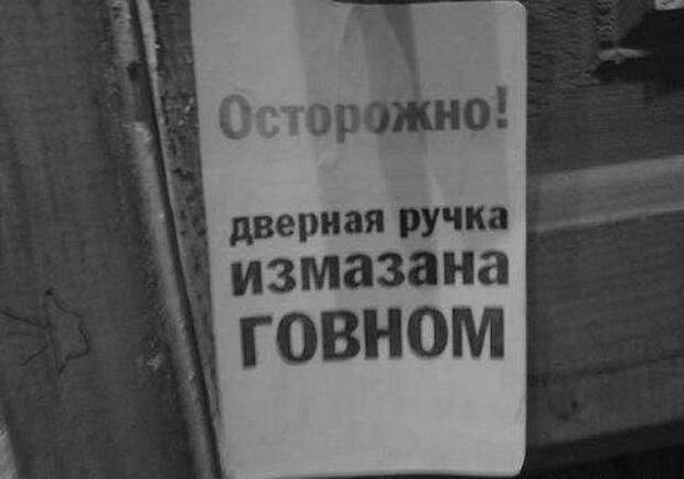 Картинки, юмор, приколы