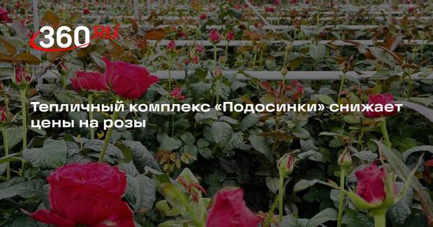 Тепличный комплекс «Подосинки» снижает цены на розы
