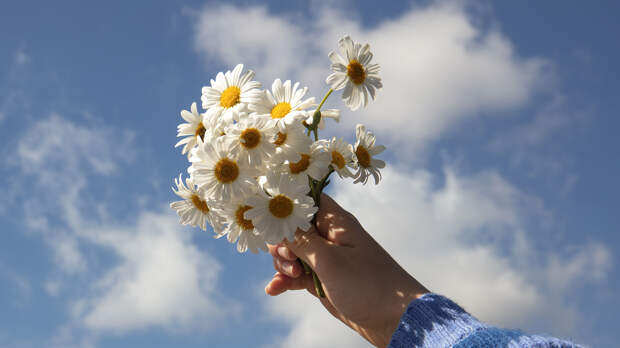 От сна до любви: пять путей, как гормоны влияют на жизнь