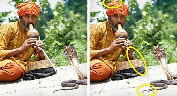 Snake charmers