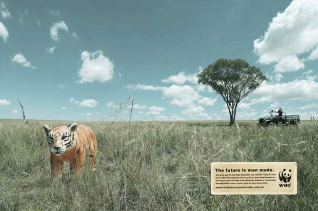 рекламные кампании о животных раскрывающие правду (18)