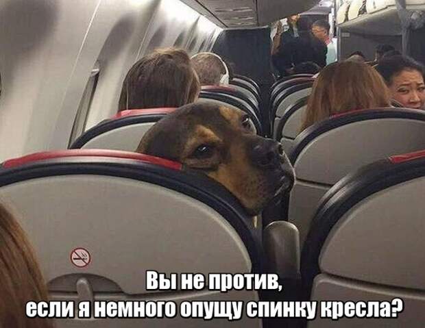 Непредвиденные ситуации встречающиеся на пути туристов Непредвиденные ситуации встречающиеся на пути туристов