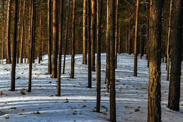 Сын Усольцевой назвал свою версию пропажи семьи