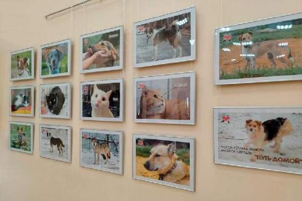 В Тамбове открылась фотовыставка "Путь домой"