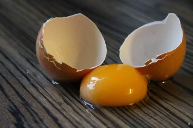 Не пытаемся убрать при помощи уксуса разбившееся яйцо. \ Фото: news.myseldon.com.