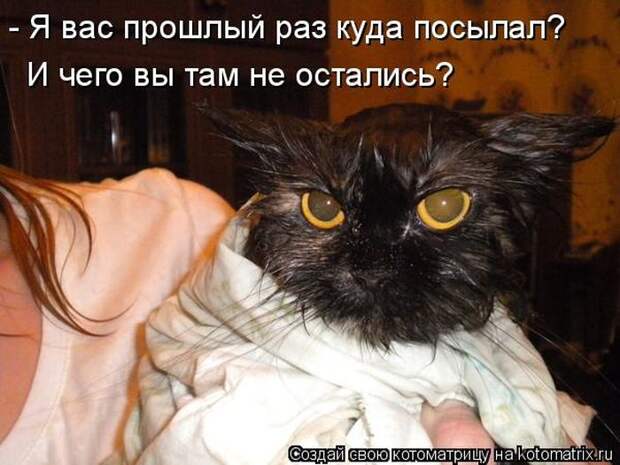 Мысли вслух :)